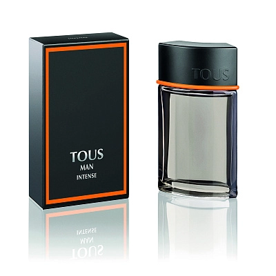 Туалетна вода TOUS Man Intense 4851071